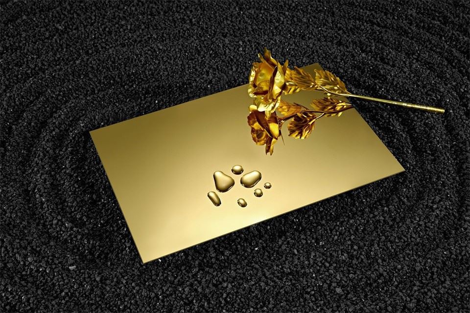 High Gloss Mirror Gold pvd Stainless Steel Sheet